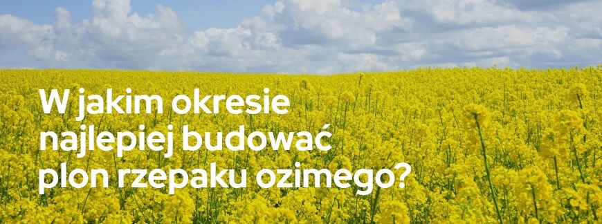 W jakim okresie najlepiej budować plon rzepaku ozimego? Kilka faktów | Blog Sklepfarmera.pl
