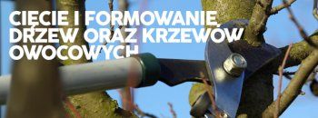 formowanie drzew oraz krzewów owocowych