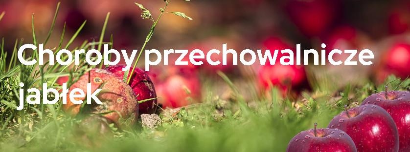 Choroby przechowalnicze jabłek | Blog Sklepfarmera.pl