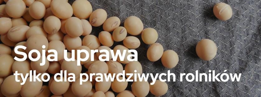 Soja – uprawa tylko dla prawdziwych rolników | Blog Sklepfarmera.pl 