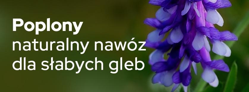 Poplony  - naturalny nawóz dla słabych gleb - Sklepfarmera.pl
