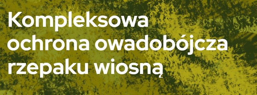 Kompleksowa ochrona owadobójcza rzepaku wiosną  | Blog Sklepfarmera.pl 