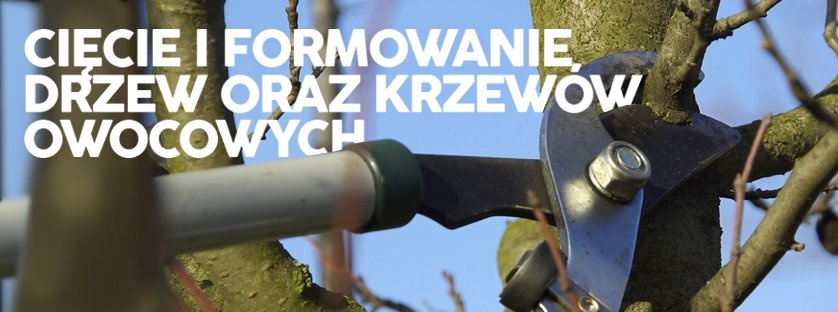 ​Cięcie i formowanie drzew oraz krzewów owocowych. Pierwsze kroki przed ruszeniem wegetacji | Blog Sklepfarmera.pl