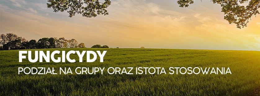 Fungicydy - podział na grupy oraz istota stosowania | Blog Sklepfarmera.pl
