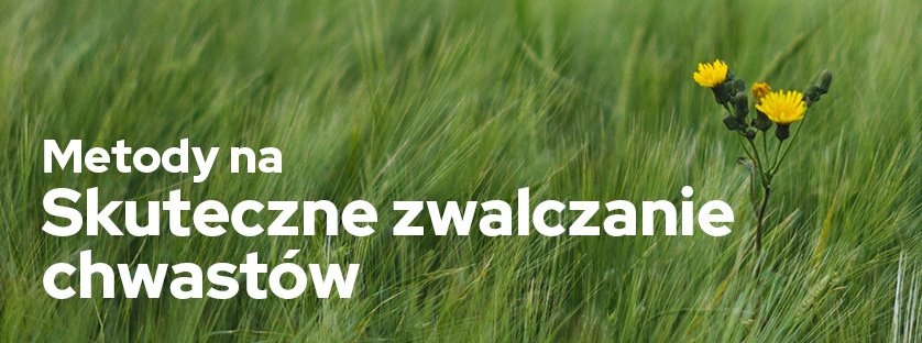 Metody na skuteczne zwalczanie chwastów | Blog Sklepfarmera.pl