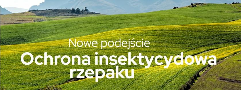 Ochrona insektycydowa rzepaku. Nowe podejście | Blog Sklepfarmera.pl