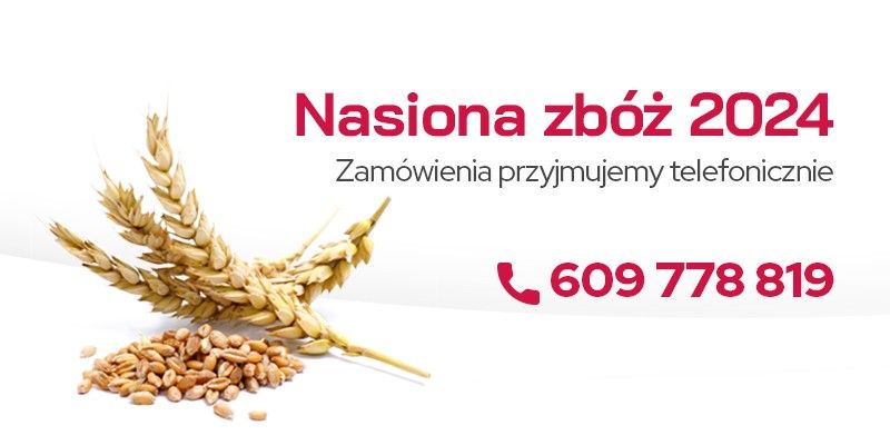 Nasiona zbóż 2024 