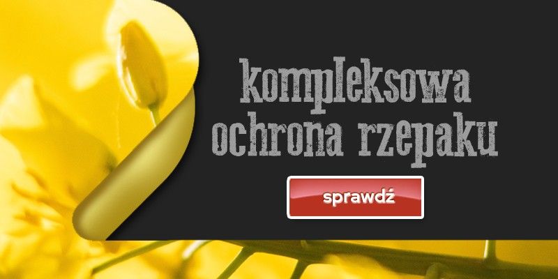 Kompleksowa ochrona rzepaku