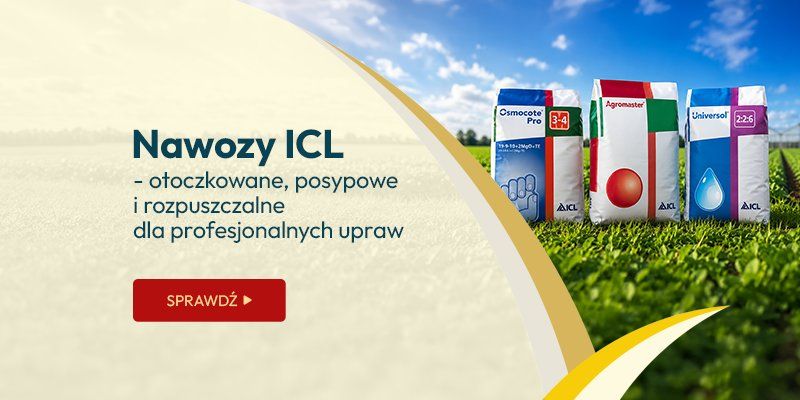 Nawozy ICL - otoczkowane, posypowe i rozpuszczalne dla profesjonalnch upraw Nawozy ICL - otoczkowane, posypowe i rozpuszczalne dla profesjonalnch upraw
