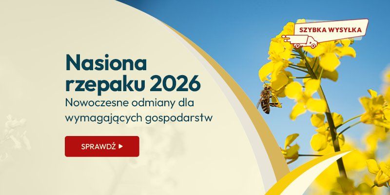 Nasiona rzepaku 2026 - nowoczesne odmiany dla wymagających gospodarstw Nasiona rzepaku 2026 - nowoczesne odmiany dla wymagających gospodarstw