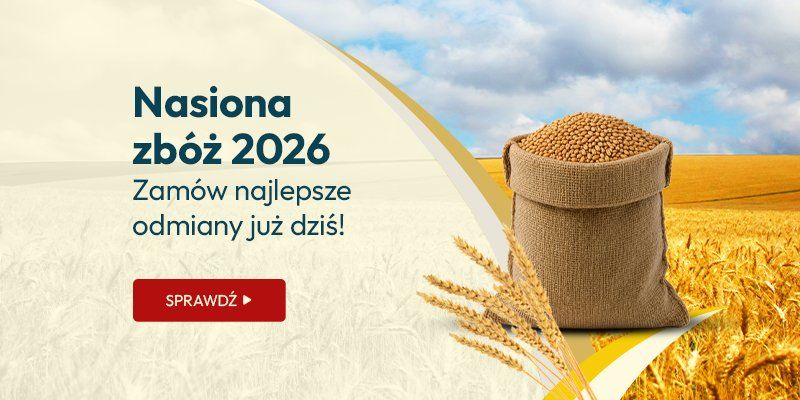 Nasiona zbóż 2026 - zamów najlepsze odmiany już dziś! Nasiona zbóż 2026 - zamów najlepsze odmiany już dziś!