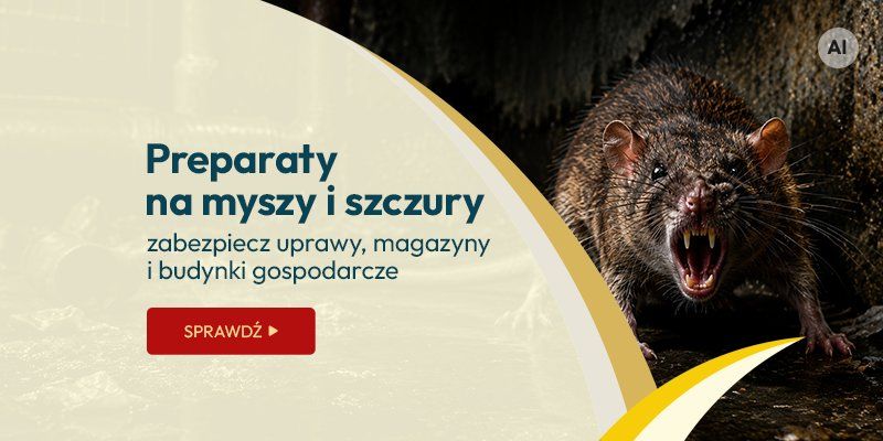 Preparaty na myszy i szczury – zabezpiecz uprawy, magazyny i budynki gospodarcze