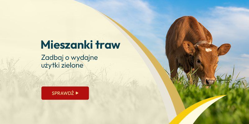 Mieszanki traw – zadbaj o wydajne użytki zielone