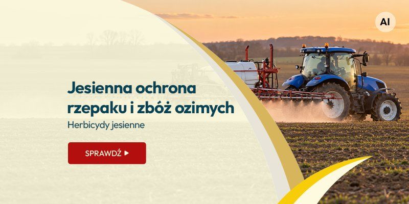 Jesienna ochrona rzepaku i zbóż ozimych. Herbicydy jesienne