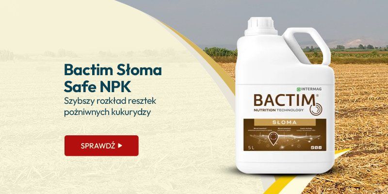 Bactim Słoma Safe NPK. Szybszy rozkład resztek pożniwnych kukurydzy Bactim Słoma Safe NPK. Szybszy rozkład resztek pożniwnych kukurydzy
