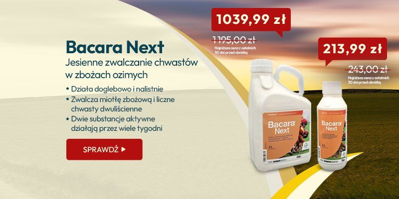 Bacara Next – jesienne zwalczanie chwastów w zbożach ozimych Bacara Next – jesienne zwalczanie chwastów w zbożach ozimych