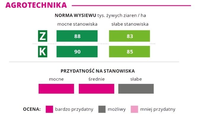 Agrotechnika kukurydzy Inception