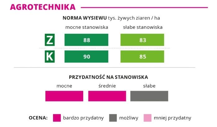 Profil agrotechniczny kukurydzy Ismeri
