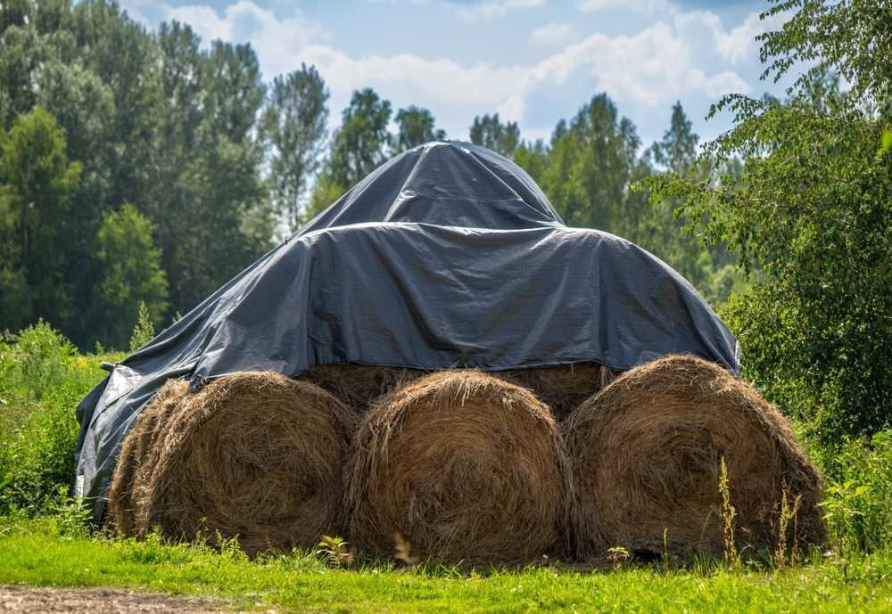 Słoma w belach zabezpieczona plandeką na polu Słoma w belach zabezpieczona plandeką na polu
