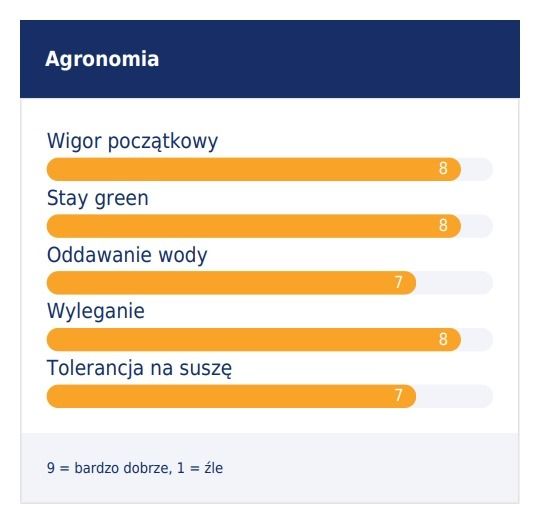 Cechy odmiany kukurydzy Mas 195P