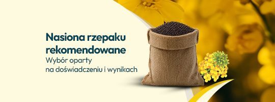 Nasiona rzepaku rekomendowane 2026