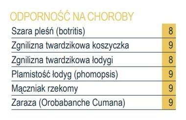 Odporność na choroby słonecznika Volter SU