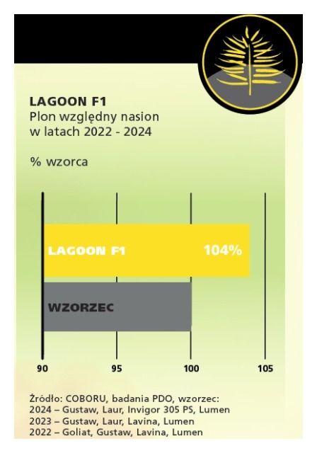 Plonowanie rzepaku jarego Lagoon Rapool