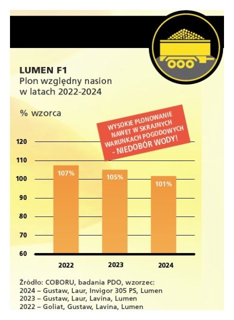 Plon nasion rzepaku jarego Lumen Rapool