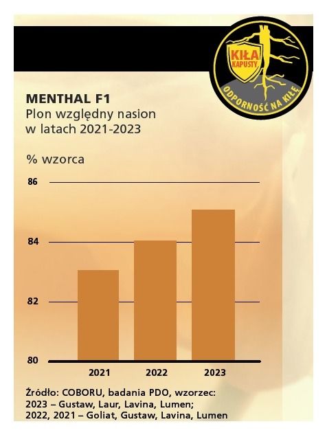 Plon nasion rzepaku jarego Menthal