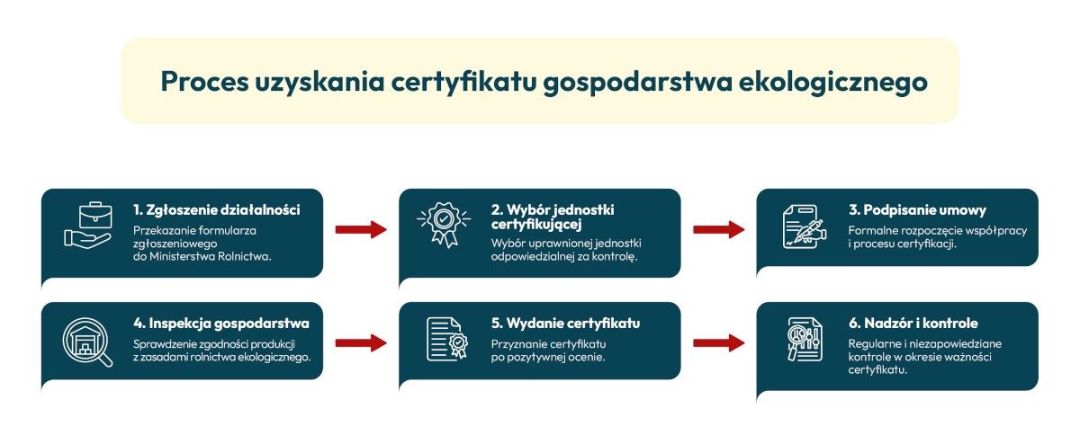 Infografika przedstawiająca procedurę uzyskania certyfikatu gospodarstwo ekologiczne Infografika przedstawiająca procedurę uzyskania certyfikatu gospodarstwo ekologiczne