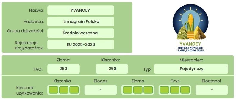Profil kukurydzy Yvanoey Limagrain