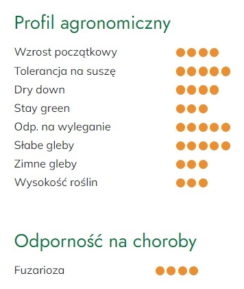 Profil odmiany kukurydzy Rosomak