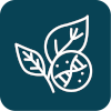Środki biologiczne &ndash; naturalna ochrona upraw - ikona
