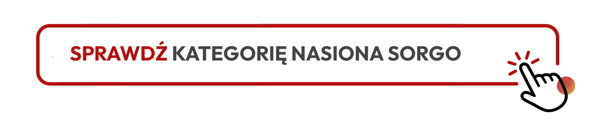 Sprawdź kategorię nasiona sorgo