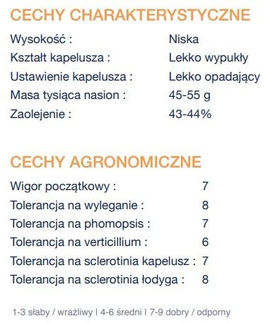 Cechy słonecznika MAS 823SU
