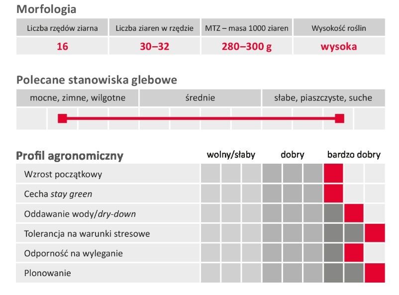 Cechy kukurydzy LG 32.226 Limagrain