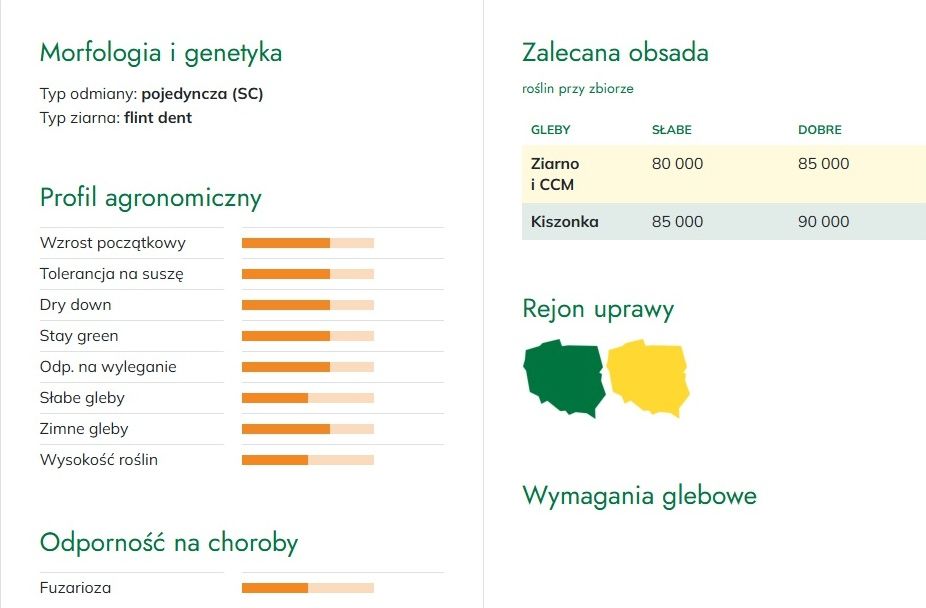 Cechy kukurydzy SM Bzura HR Smolice