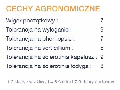 Cechy odmiany słonecznika Mas DT3402TT Maisadour