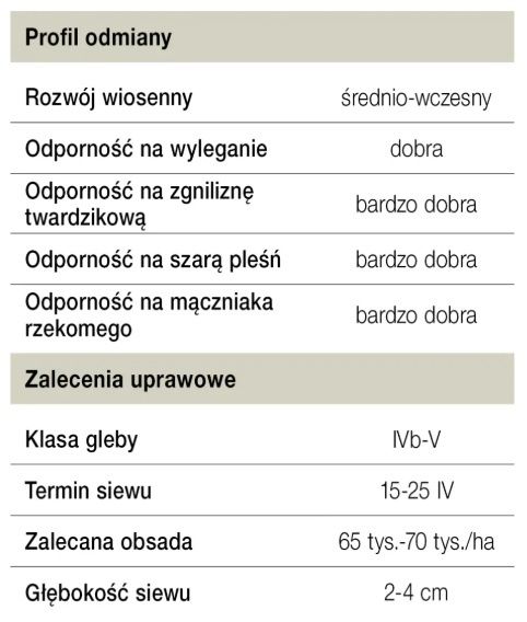 Cechy odmiany słonecznika Arnoldes KWS