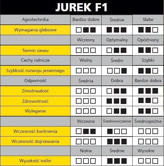 Cechy odmiany rzepaku ozimego Jurek