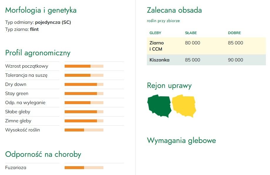 Cechy kukurydzy SM Hiltop HR Smolice