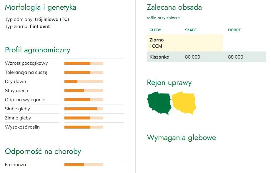 Cechy kukurydzy SM Pulsar
