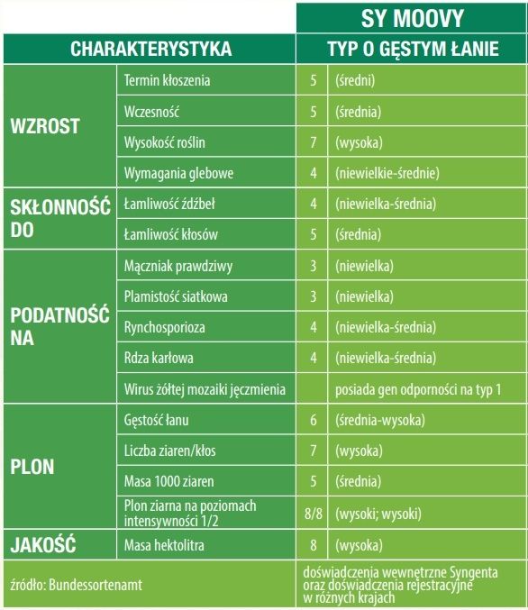 Cechy jęczmienia ozimego SY Moovy Syngenta