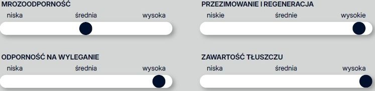 Cechy odmiany rzepaku ozimego Odeon