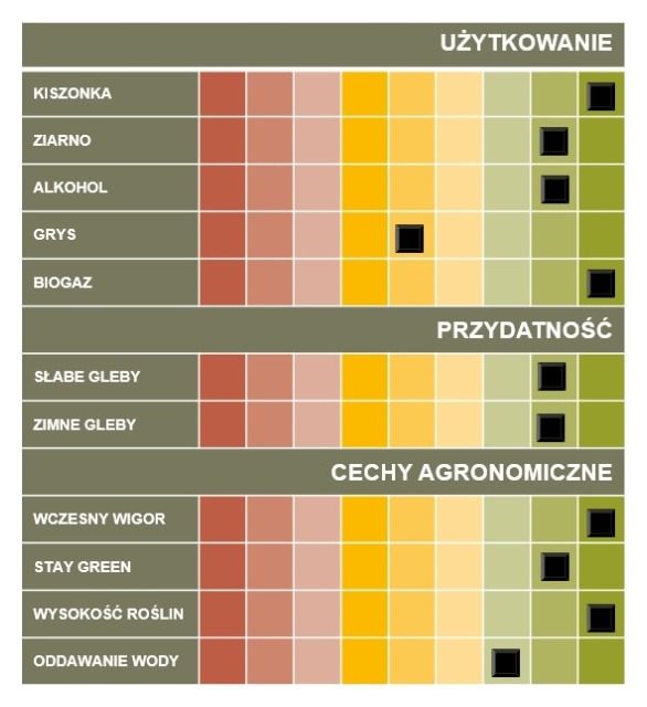 Cechy odmiany kukurydzy KWS Lupollino