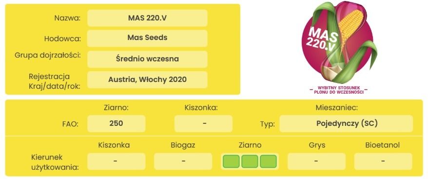 Cechy odmiany kukurydzy Mas 220.V