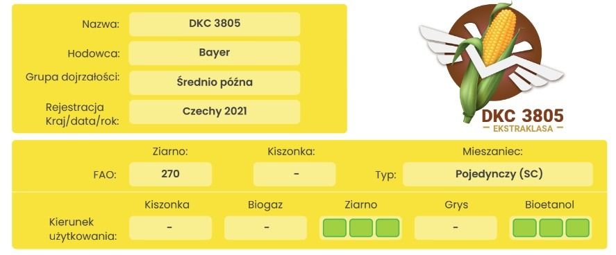 Cechy odmiany kukurydzy DKC 3805