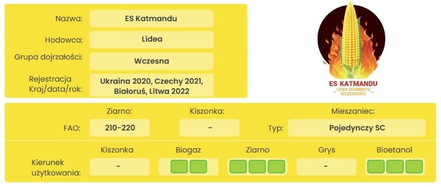 Cechy odmiany kukurydzy ES Katmandu