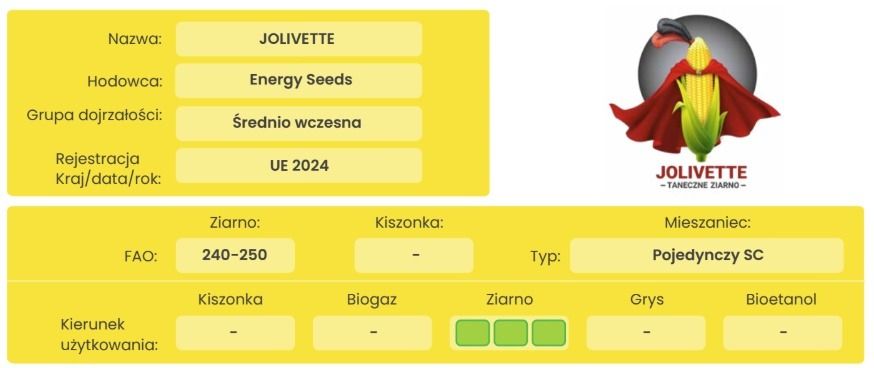 Cechy odmiany kukurydzy Jolivette