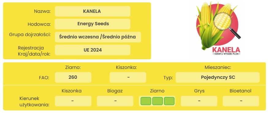 Cechy odmiany kukurydzy Kanela